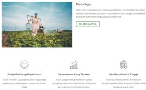 jual buah di tangerang
